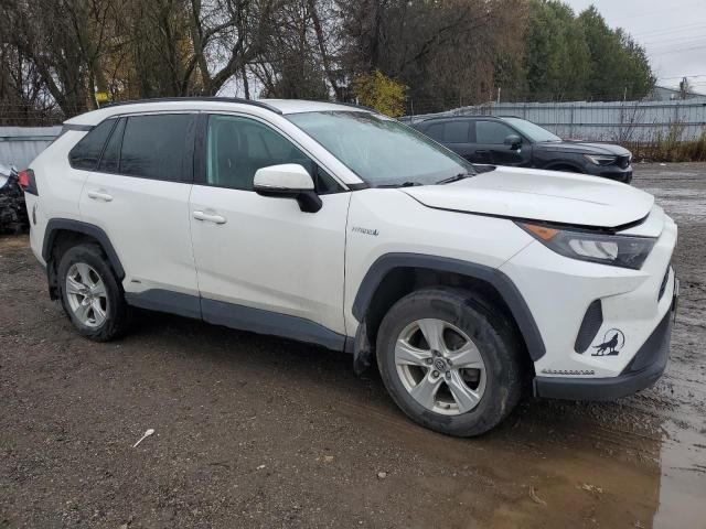 2020 Toyota Rav4 LE