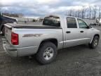 2008 Dodge Dakota SXT