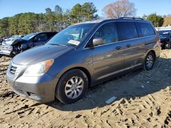 Salvage cars for sale at Seaford, DE auction: 2010 Honda Odyssey EX