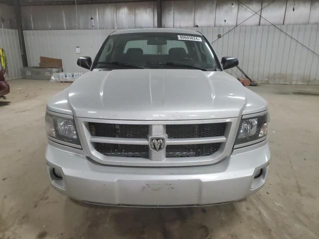 2011 Dodge Dakota SLT