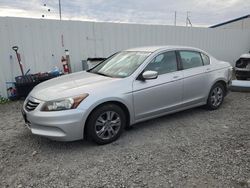 Honda salvage cars for sale: 2012 Honda Accord SE