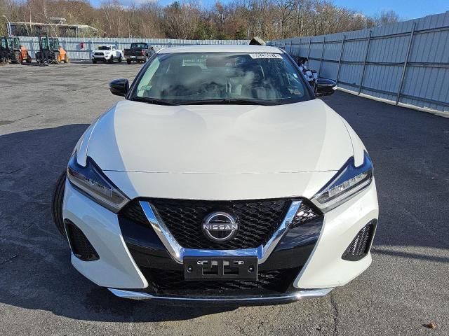 2023 Nissan Maxima SV