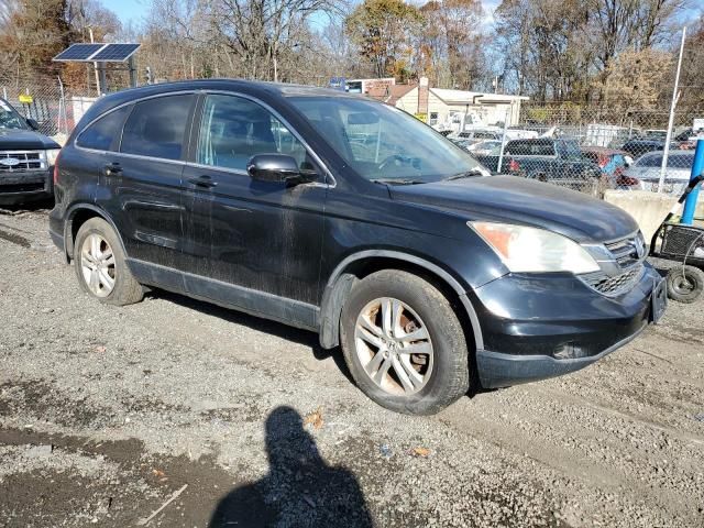 2010 Honda CR-V EXL