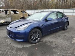 2023 Tesla Model 3 en venta en Glassboro, NJ