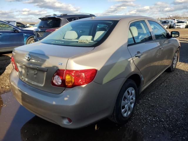 2009 Toyota Corolla Base