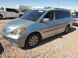 Salvage cars for sale from Copart Phoenix, AZ: 2010 Honda Odyssey EXL