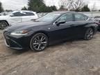 2020 Lexus ES 350 F Sport