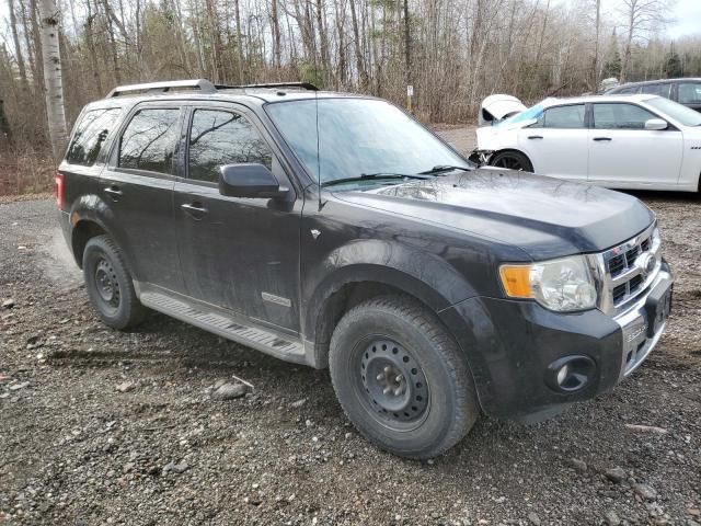 2008 Ford Escape Limited