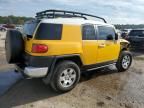 2007 Toyota FJ Cruiser