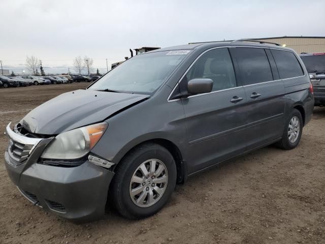 2008 Honda Odyssey EXL