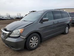 Honda salvage cars for sale: 2008 Honda Odyssey EXL