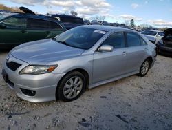 Salvage cars for sale at West Warren, MA auction: 2010 Toyota Camry Base