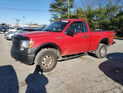 Salvage cars for sale at Lexington, KY auction: 2013 Ford F150