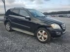 2010 Mercedes-Benz ML 350