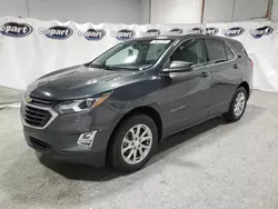 2019 Chevrolet Equinox LT en venta en Ham Lake, MN