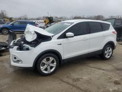 2014 Ford Escape SE en venta en Louisville, KY