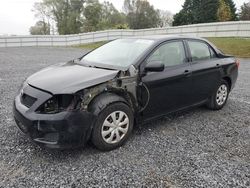 Toyota salvage cars for sale: 2010 Toyota Corolla Base