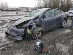 Tesla Vehiculos salvage en venta: 2023 Tesla Model Y