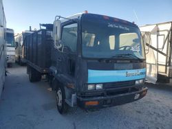 Salvage trucks for sale at Riverview, FL auction: 2003 Isuzu FRR