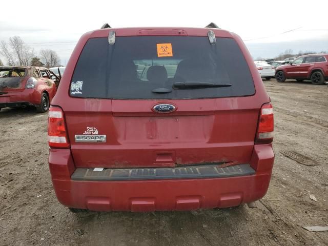 2011 Ford Escape XLT