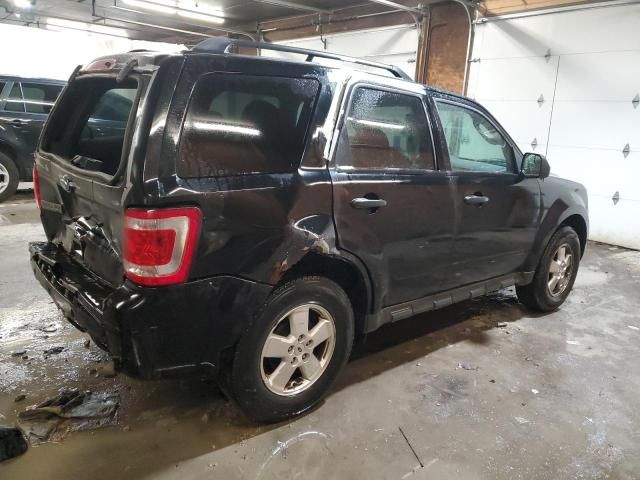 2012 Ford Escape XLT