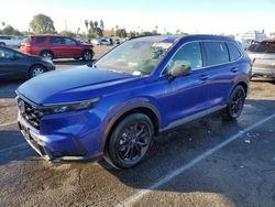 Salvage cars for sale at Van Nuys, CA auction: 2024 Honda CR-V Sport