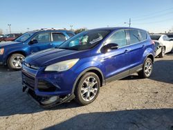 Carros salvage sin ofertas aún a la venta en subasta: 2013 Ford Escape SEL