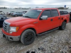 2011 Ford F150 Supercrew en venta en Lexington, KY