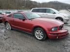 2006 Ford Mustang