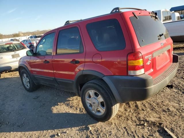 2002 Ford Escape XLT