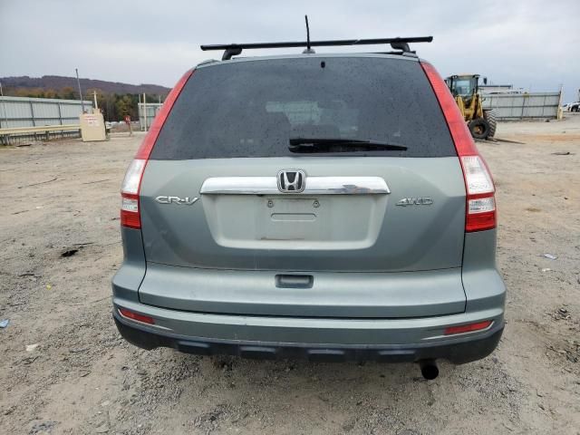 2010 Honda CR-V EXL