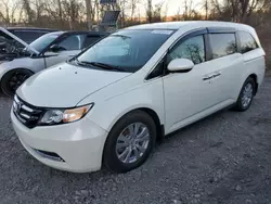 Honda salvage cars for sale: 2016 Honda Odyssey EX