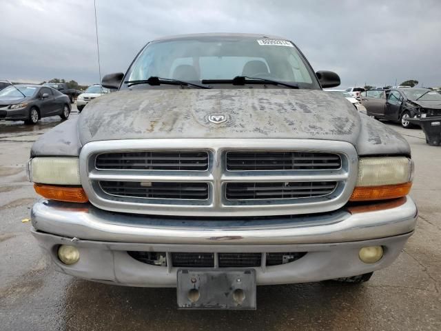 2003 Dodge Dakota SLT