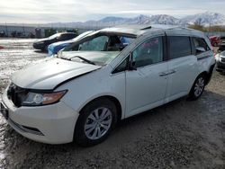 Honda salvage cars for sale: 2016 Honda Odyssey EXL