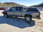 2004 Dodge Dakota Quad Sport