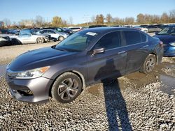 Honda salvage cars for sale: 2017 Honda Accord LX