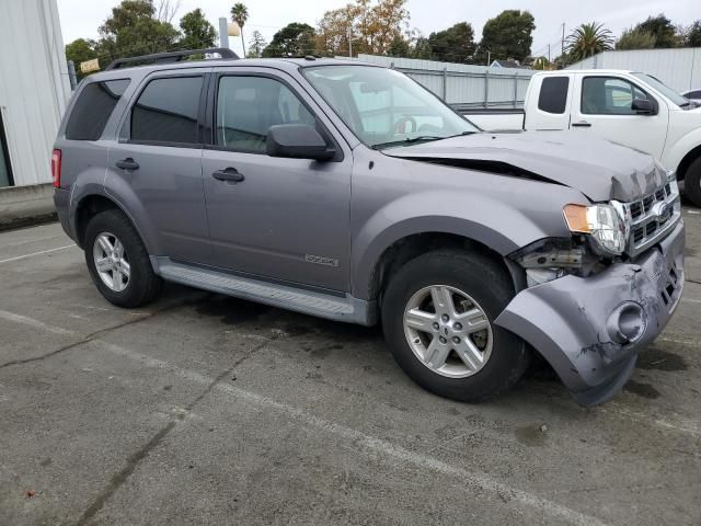 2008 Ford Escape HEV