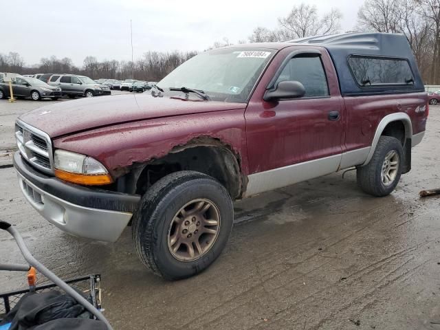 2003 Dodge Dakota SLT