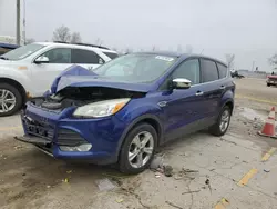 Salvage SUVs for sale at auction: 2014 Ford Escape SE