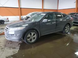 Salvage cars for sale at Rocky View County, AB auction: 2010 Honda Accord Crosstour EXL