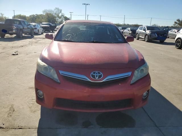 2010 Toyota Camry Hybrid