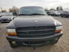 2003 Dodge Dakota Sport