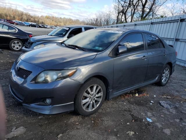 2010 Toyota Corolla Base