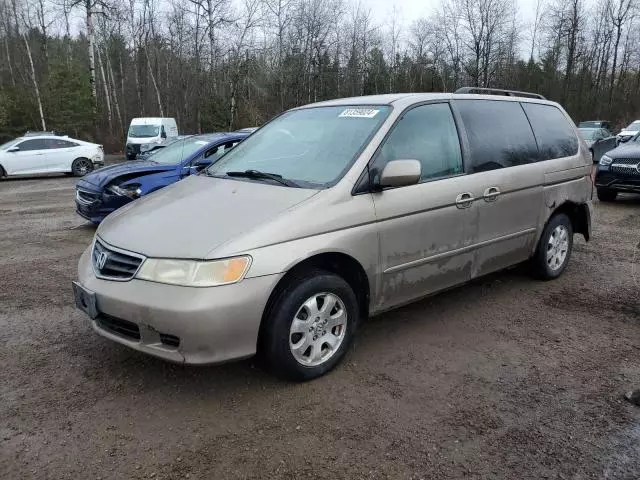 2003 Honda Odyssey EX