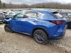 2025 Lexus NX 350H Base