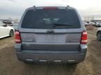 2008 Ford Escape HEV