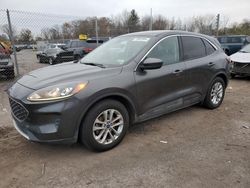 Lots with Bids for sale at auction: 2020 Ford Escape SE