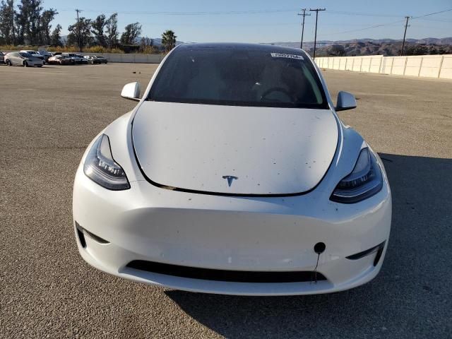 2020 Tesla Model Y