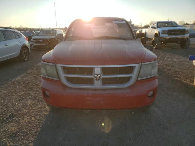 2010 Dodge Dakota SXT