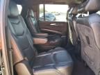 2019 Cadillac Escalade ESV Platinum